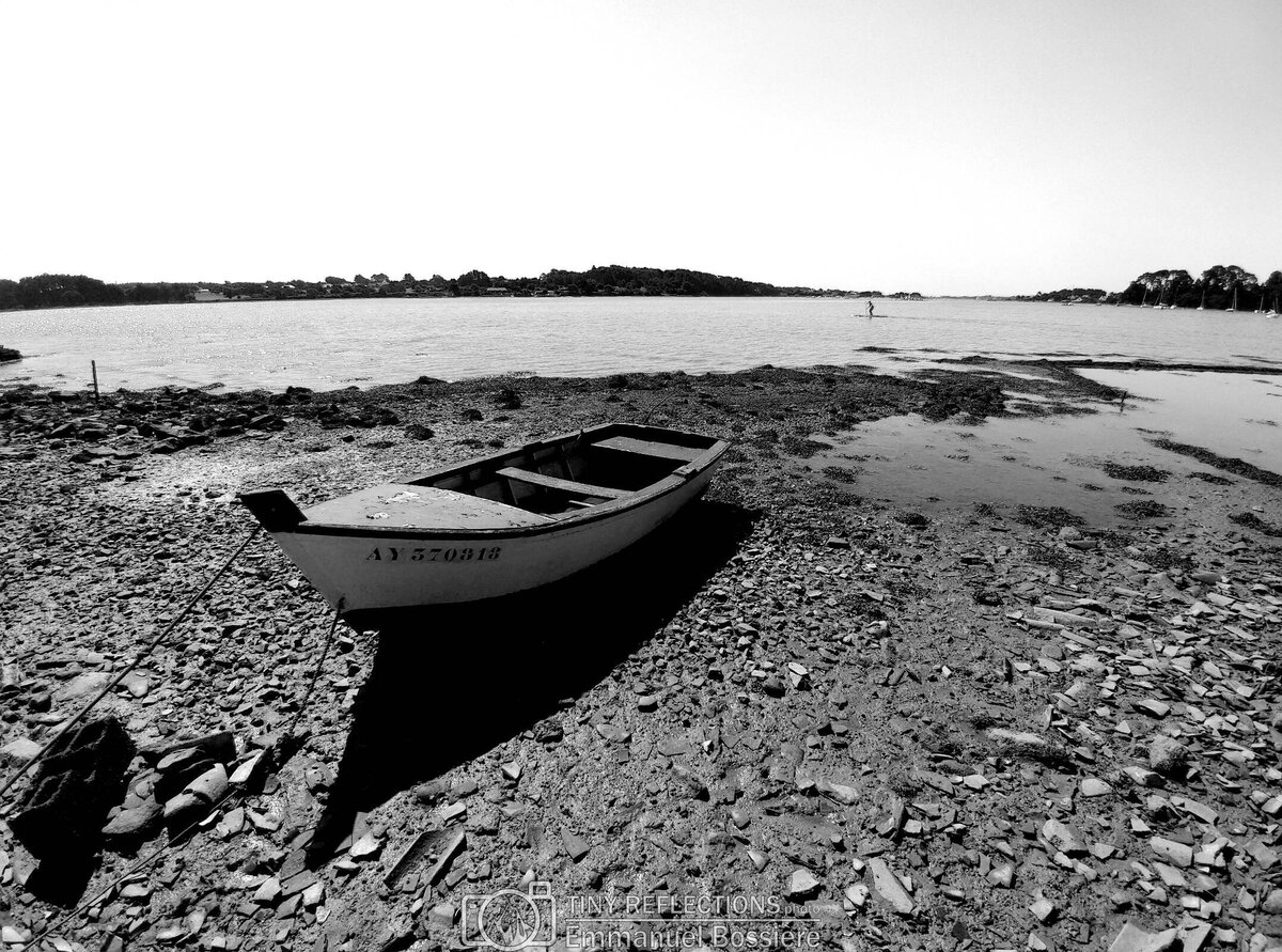 Attracted by the sea