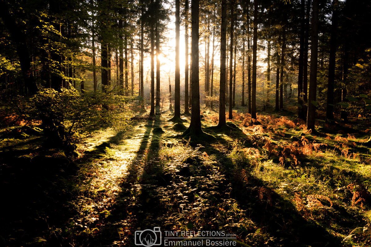 Burst of light