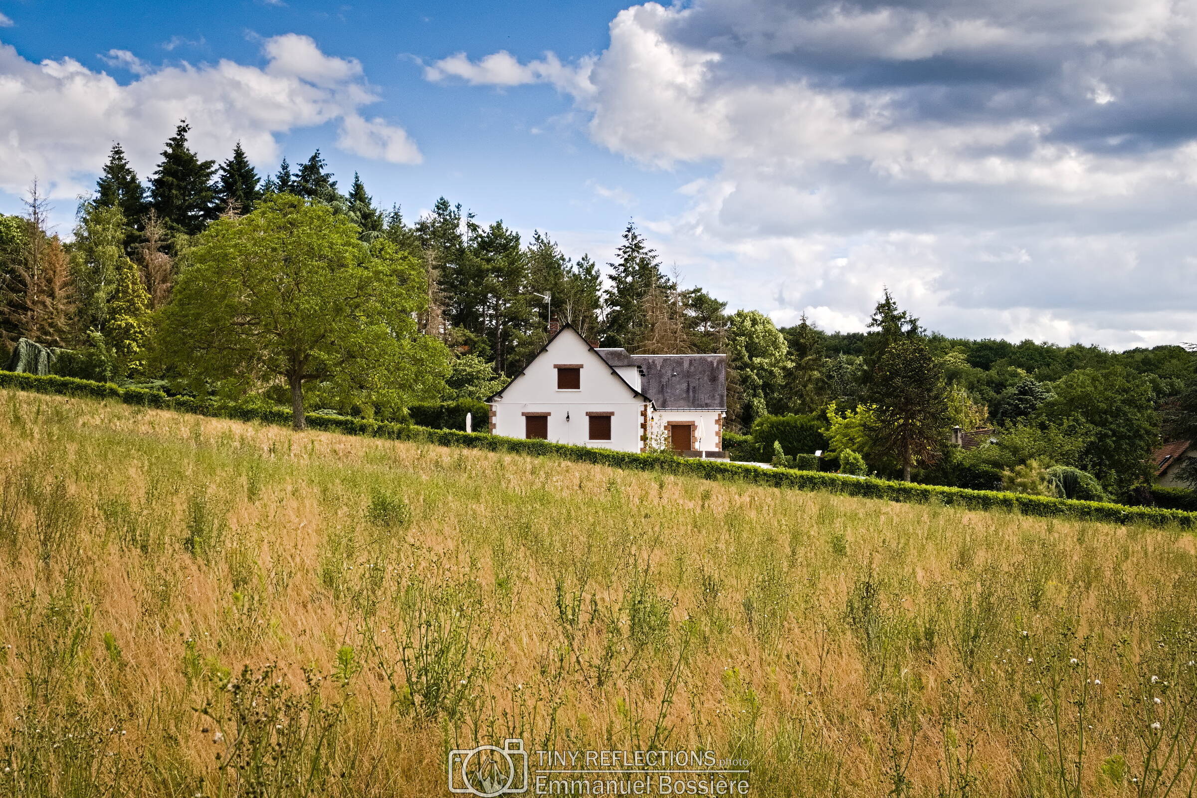 Crooked house