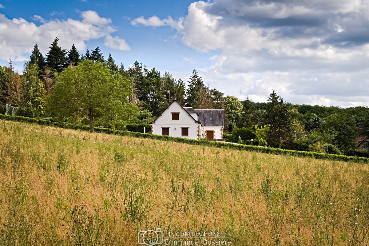 Crooked house