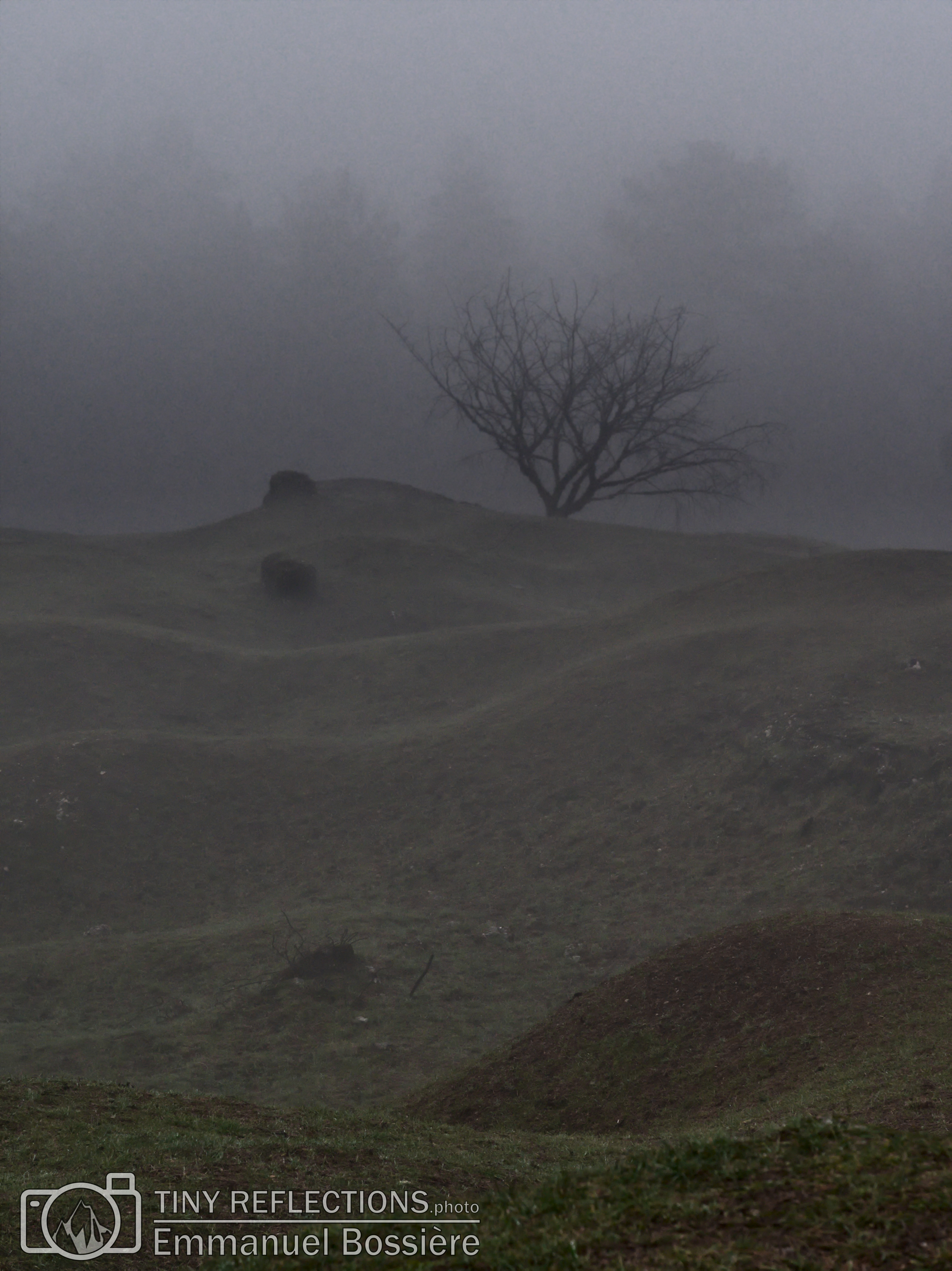 Haunted and desolated
