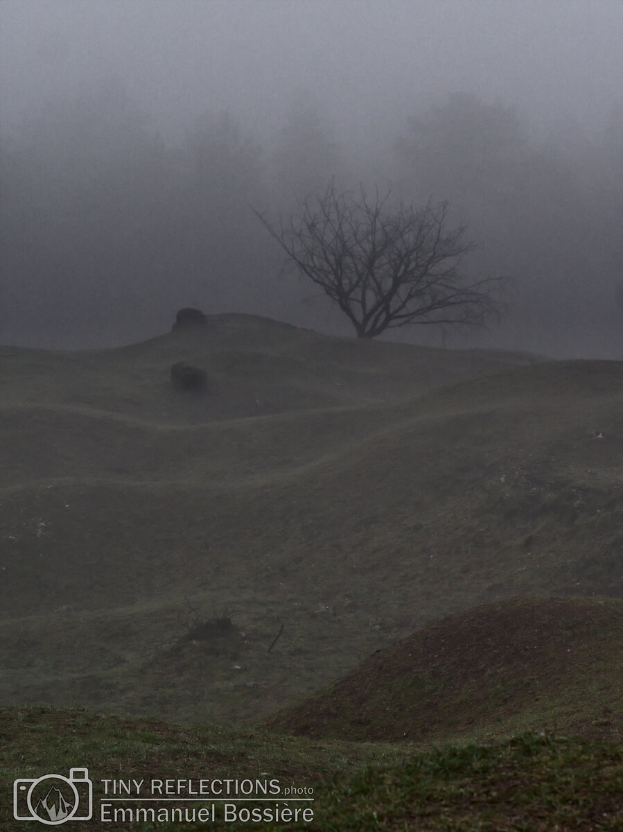 Haunted and desolated