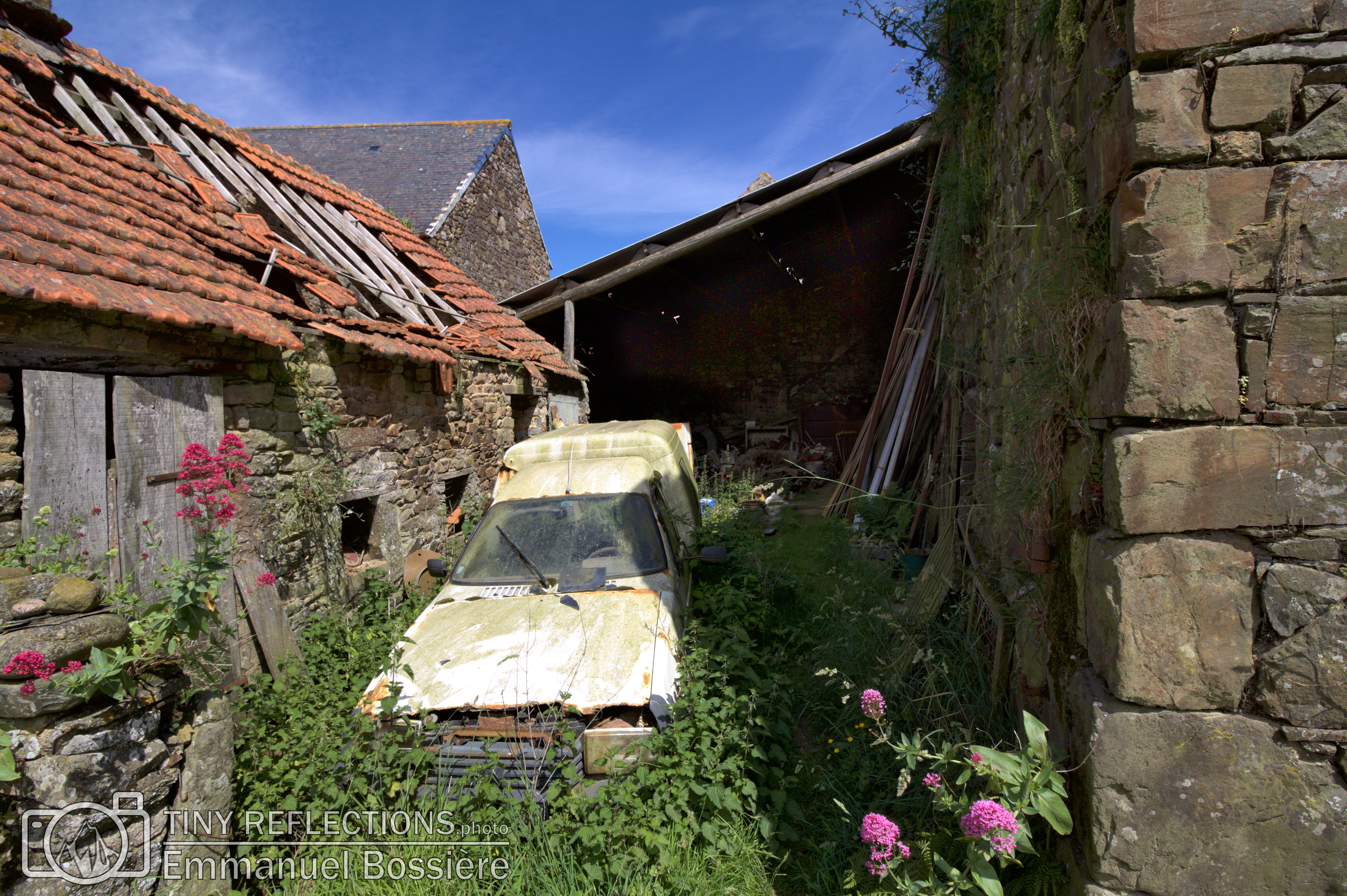 Left to rot
