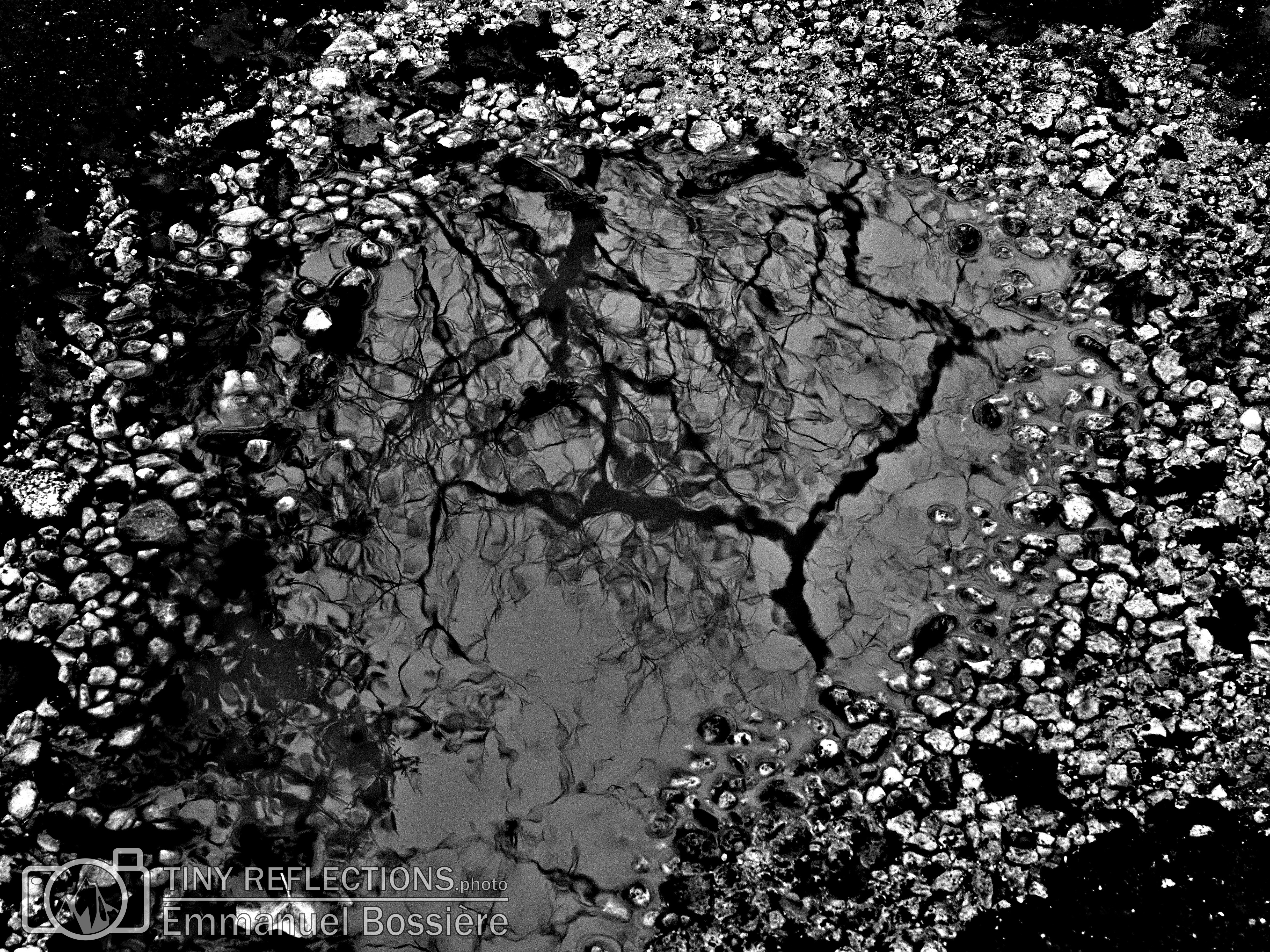 Literal reflections