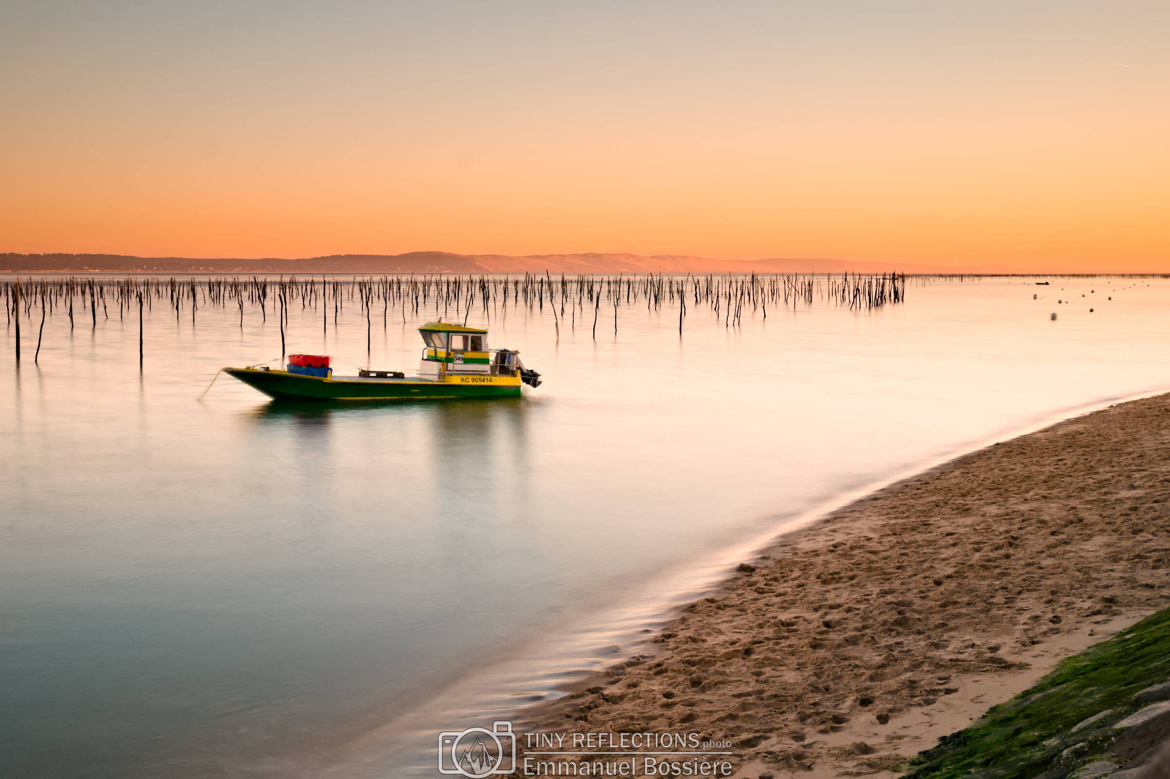She dreams at the Dune