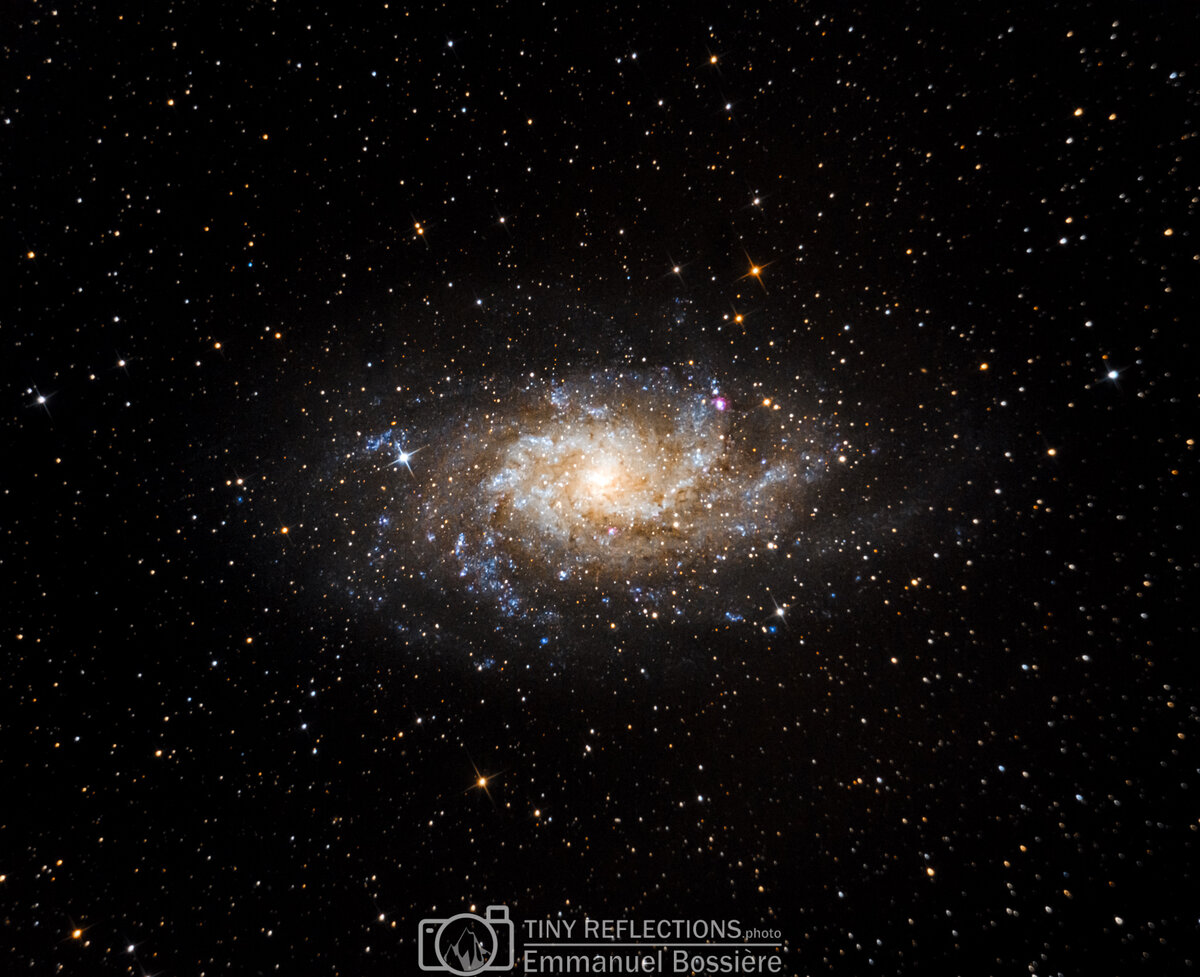 Triangulum galaxy