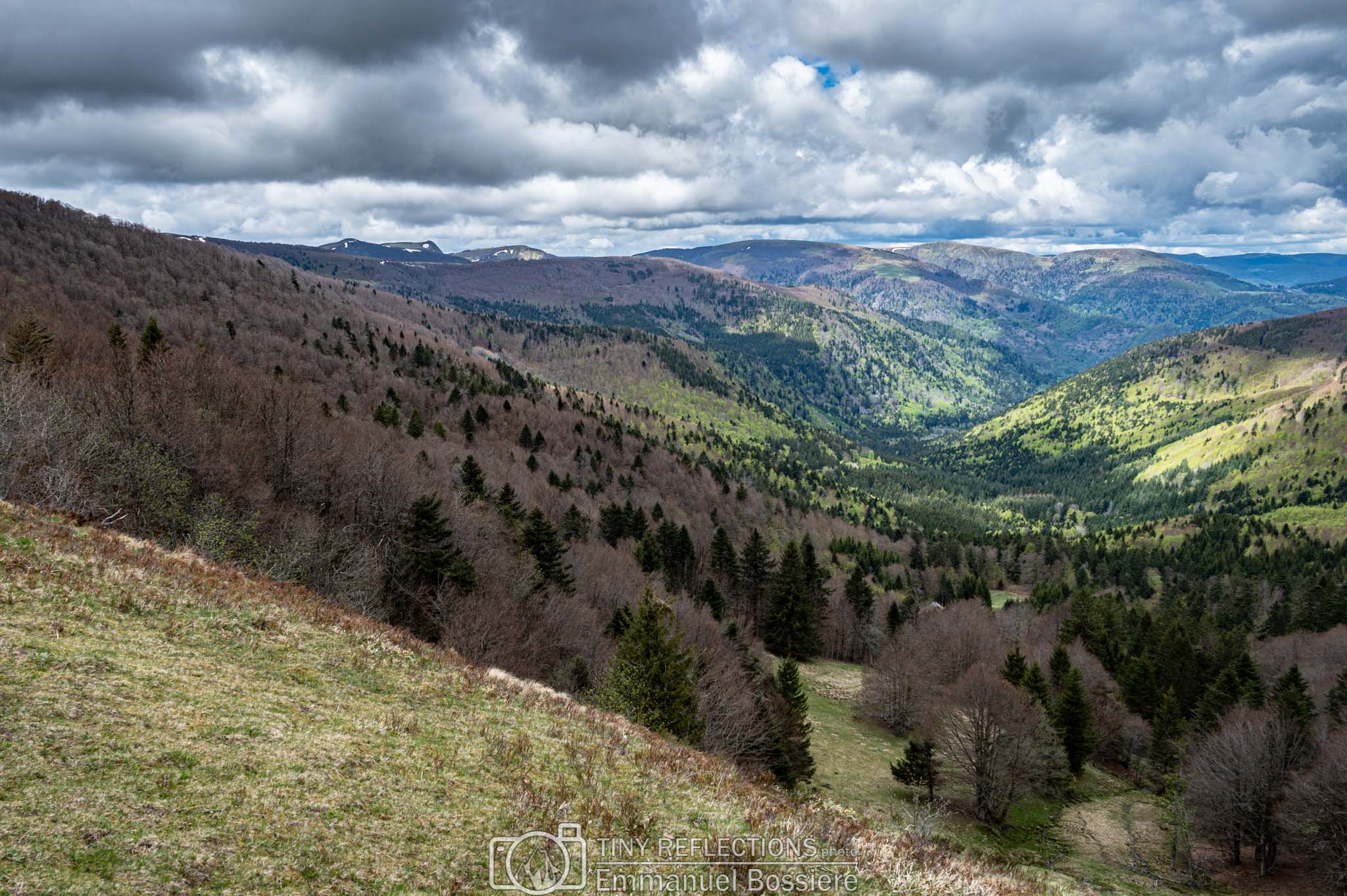 Valley of light